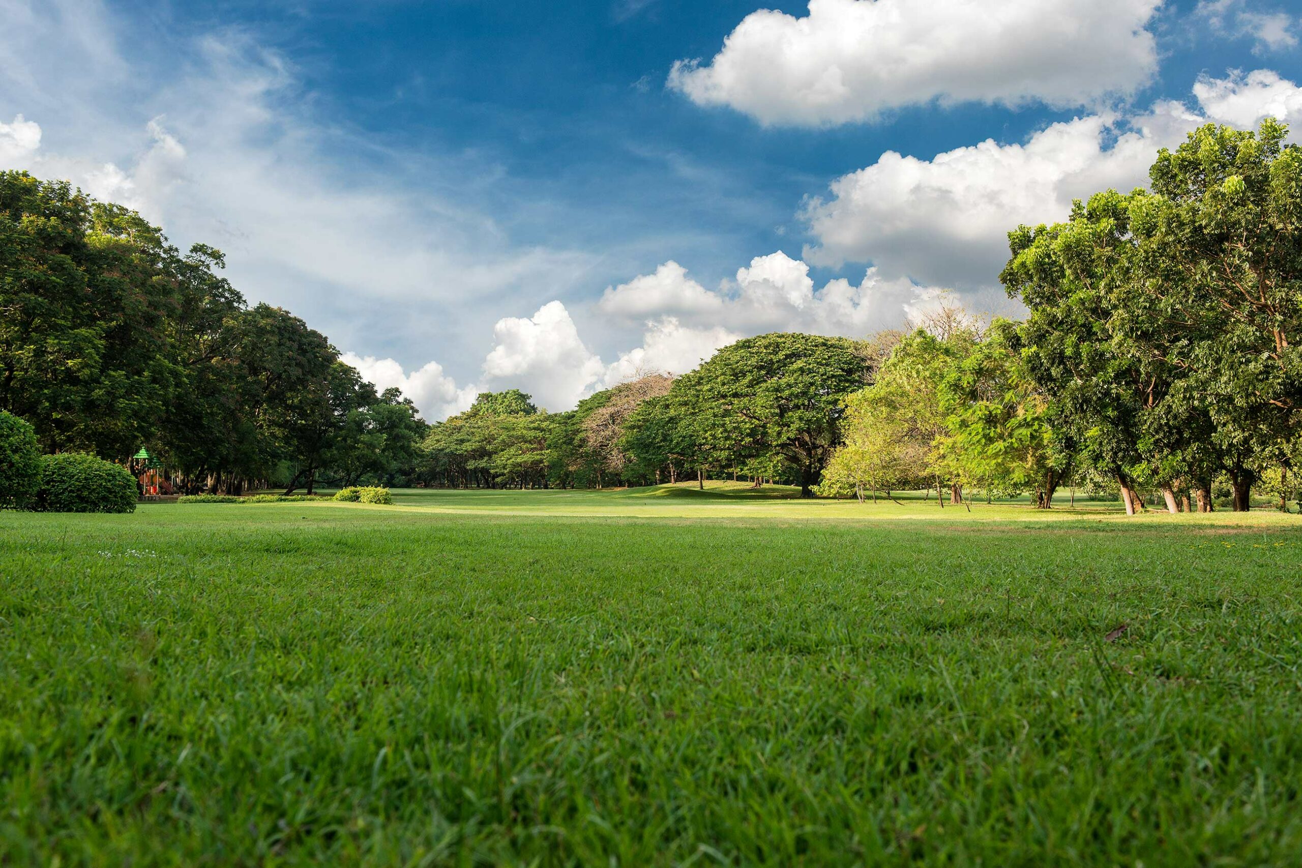 Lawn Installation & Maintenance in South Bend, IN | Hydroseed